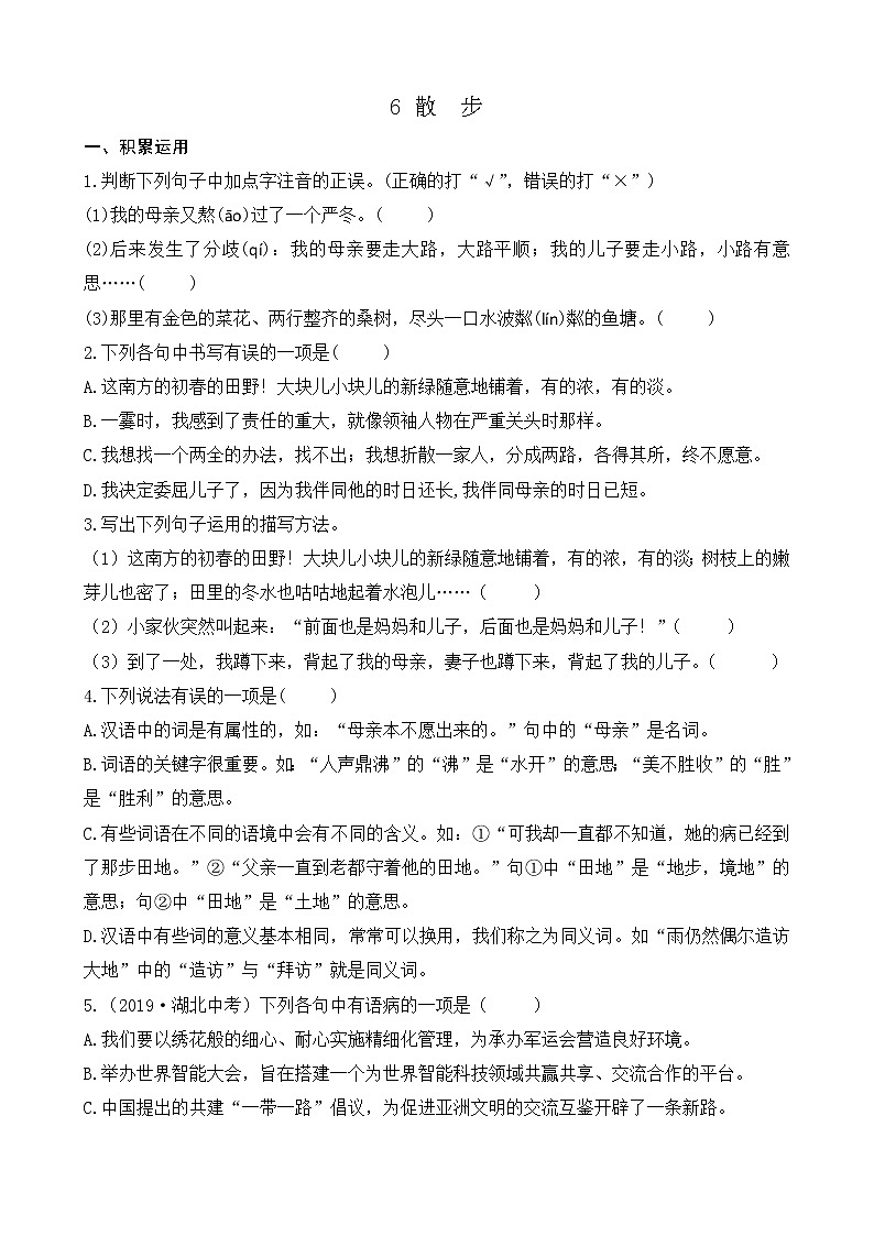 部编版七上语文 6 散步 课件+教案+练习01