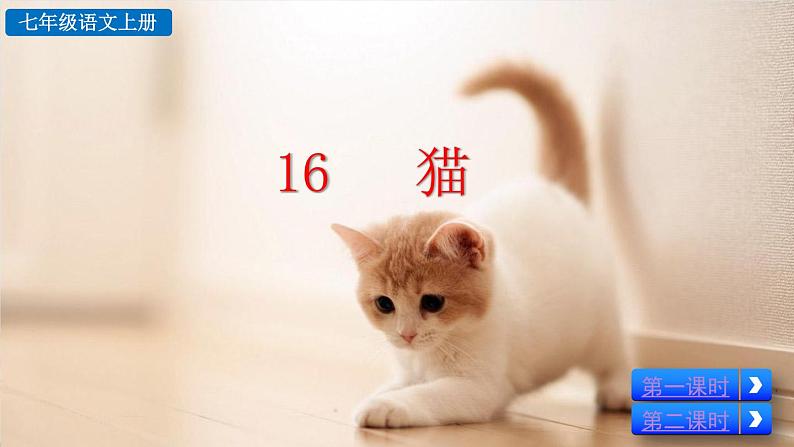 部编版七上语文 16 猫 课件+教案+练习03