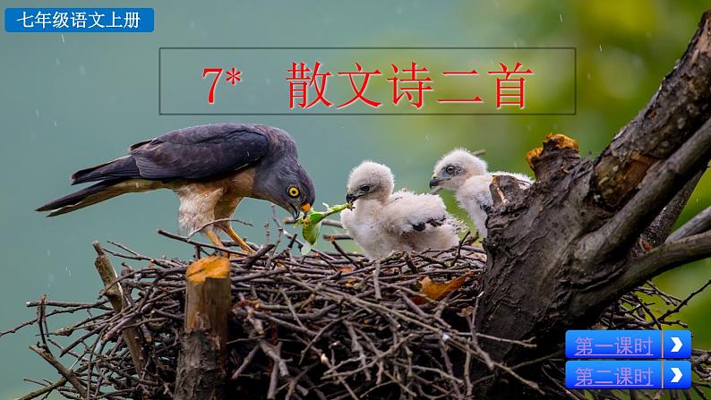 7 散文诗二首  课件第2页