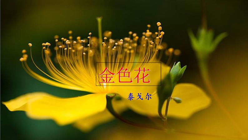 7 散文诗二首  课件第4页