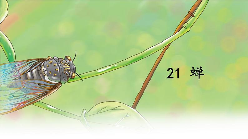 第21课《蝉》课件（共35张PPT）2022—2023学年部编版语文八年级上册02