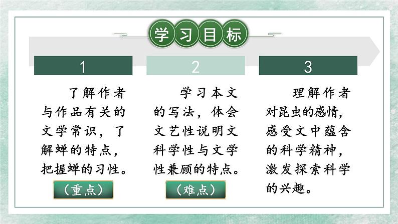 第21课《蝉》课件（共35张PPT）2022—2023学年部编版语文八年级上册03