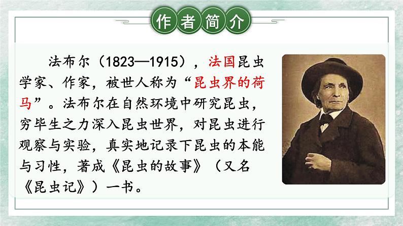 第21课《蝉》课件（共35张PPT）2022—2023学年部编版语文八年级上册04