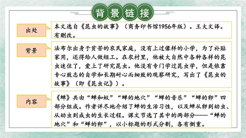 第21课《蝉》课件（共35张PPT）2022—2023学年部编版语文八年级上册05