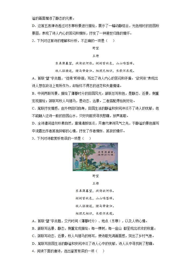 第13课野望2022-2023学年八年级语文上册同步知识梳理练习（解析版+原卷版）02