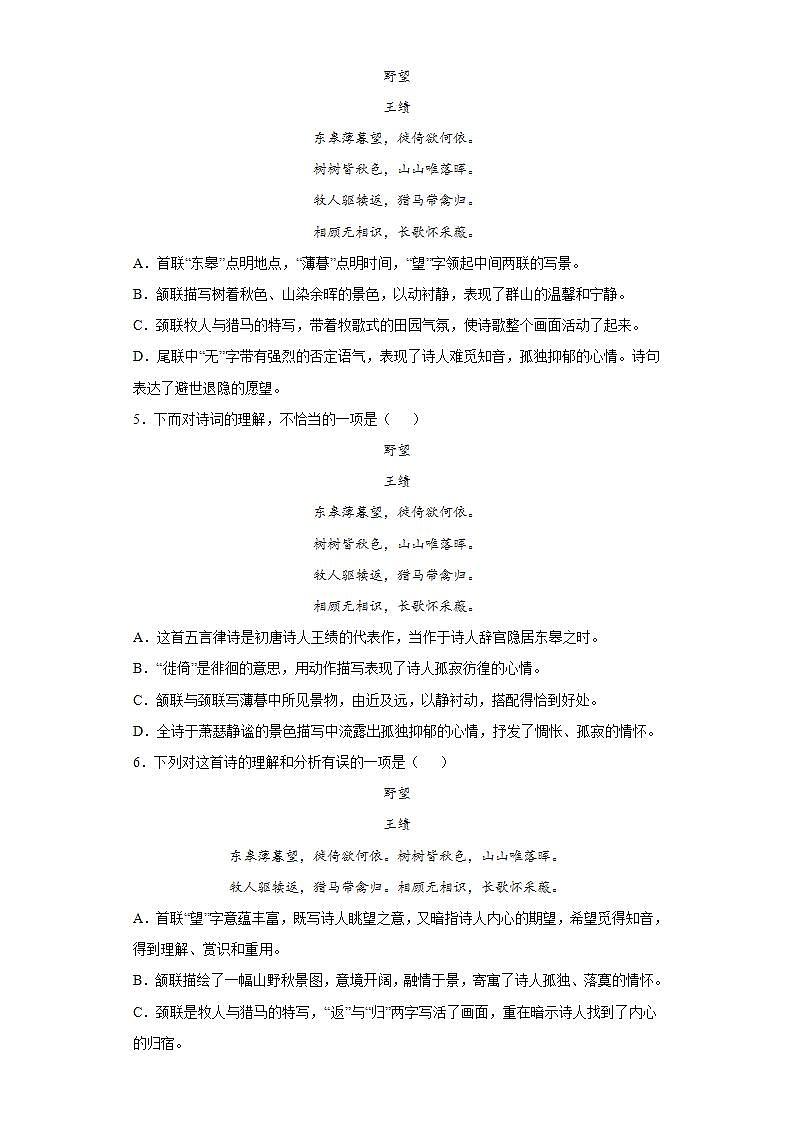 第13课野望2022-2023学年八年级语文上册同步知识梳理练习（解析版+原卷版）03