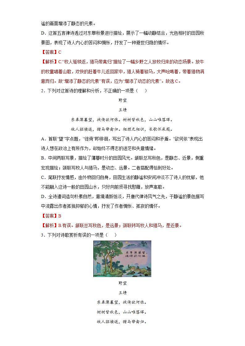 第13课野望2022-2023学年八年级语文上册同步知识梳理练习（解析版+原卷版）02