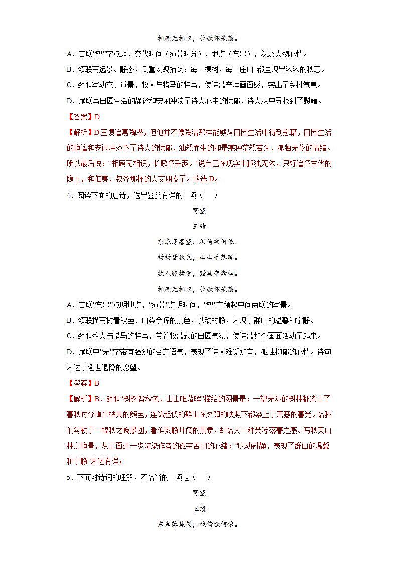 第13课野望2022-2023学年八年级语文上册同步知识梳理练习（解析版+原卷版）03