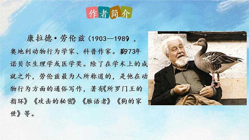 17 动物笑谈 课件第4页