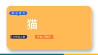 初中语文人教部编版七年级上册16 猫示范课课件ppt