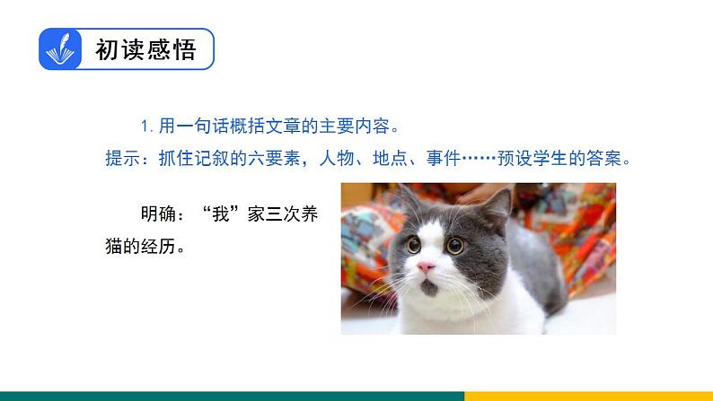 部编版七年级语文上册16. 《猫》（课件）第8页