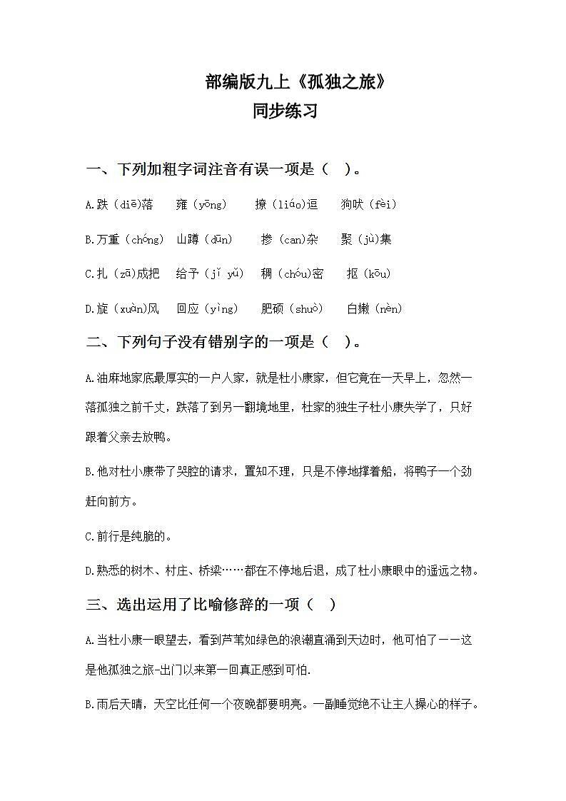 人教版语文九年级上册《孤独之旅》课件+教案+同步练习01