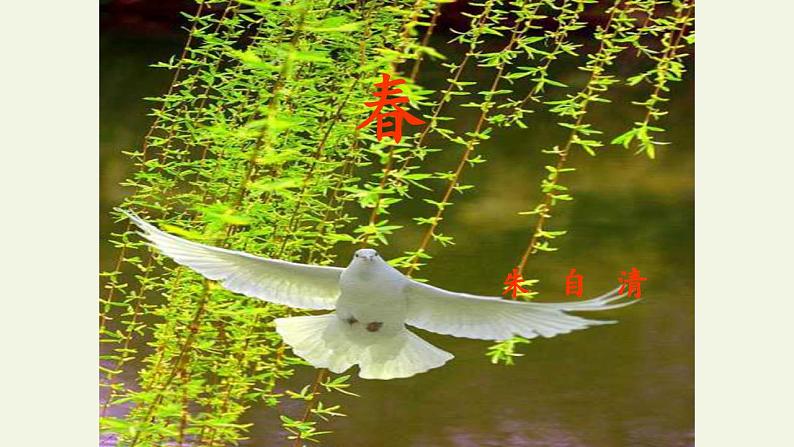 人教部编版语文七年级上册1.春  课件101