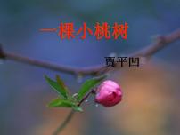 语文七年级下册19* 一棵小桃树说课ppt课件