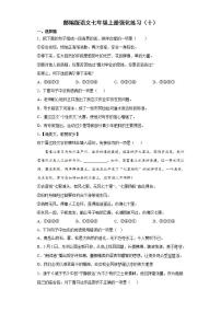 部编版语文七年级上册强化练习（十）