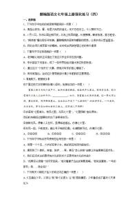 部编版语文七年级上册强化练习（四）