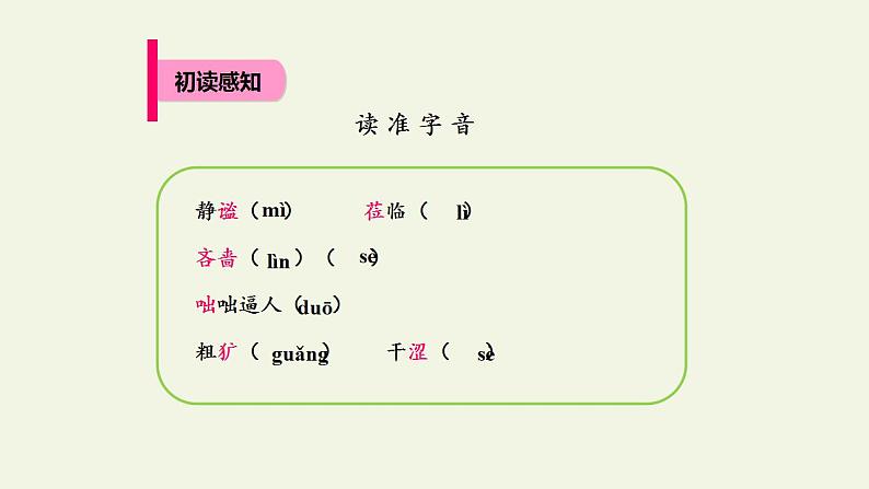 人教部编版语文七年级上册3.雨的四季  课件03