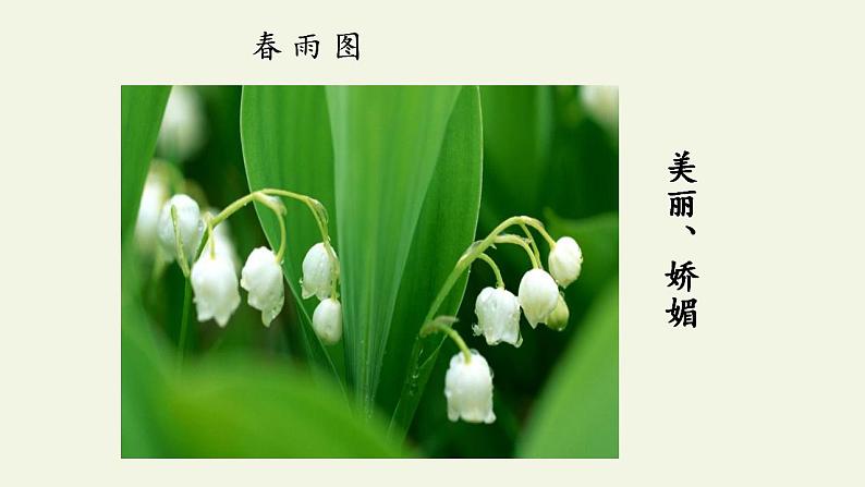 人教部编版语文七年级上册3.雨的四季  课件07