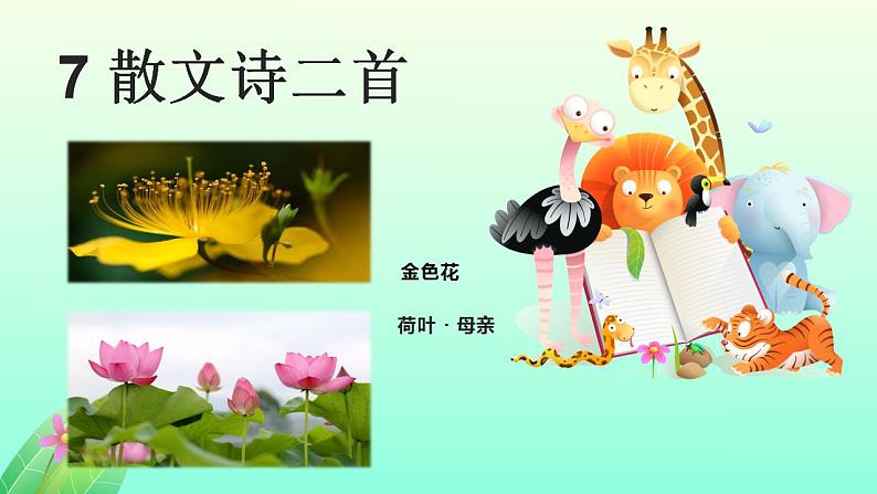人教版七上语文第7课《散文诗二首》PPT+教学设计+情景视频课文朗诵01