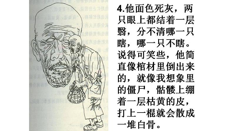 人教部编版语文七年级上册 作文片段训练之人物外貌描写  复习课件第6页