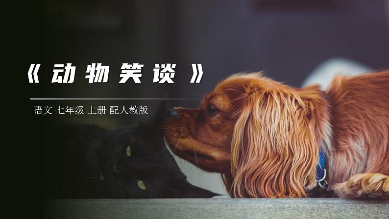 部编版语文七年级上册第五单元 17_动物笑谈  课件第1页