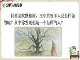 部編版語文七年級上冊13 植樹的牧羊人第二課時 課件+教案