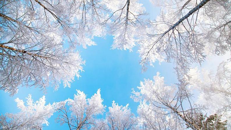 部编版七年级上册第一单元第二课《济南的冬天》第1页