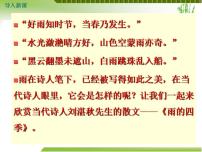 初中人教部编版雨的四季课文课件ppt