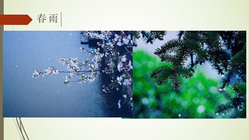 2021年部编版语文七年级上册《雨的四季》课件03