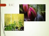 2021年部编版语文七年级上册《雨的四季》课件