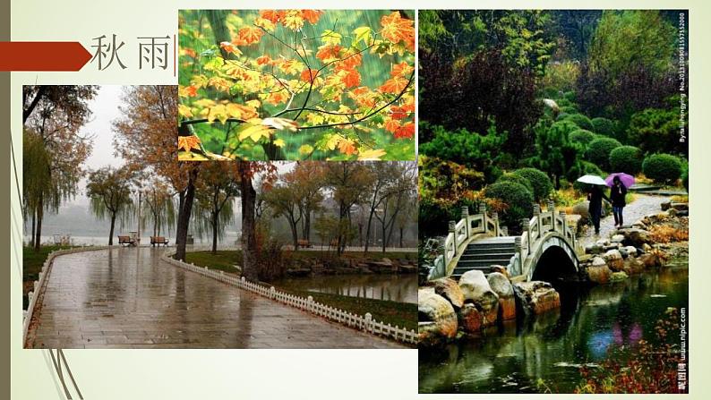 2021年部编版语文七年级上册《雨的四季》课件05