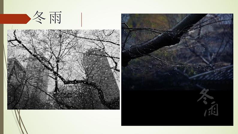 2021年部编版语文七年级上册《雨的四季》课件06