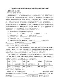 广西崇左市宁明县2021-2022学年七年级下学期期末语文试卷 (word版含答案)