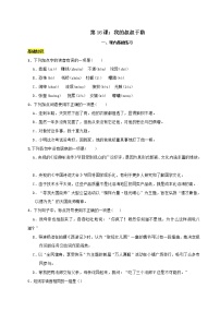 人教部编版九年级上册16 我的叔叔于勒优秀一课一练