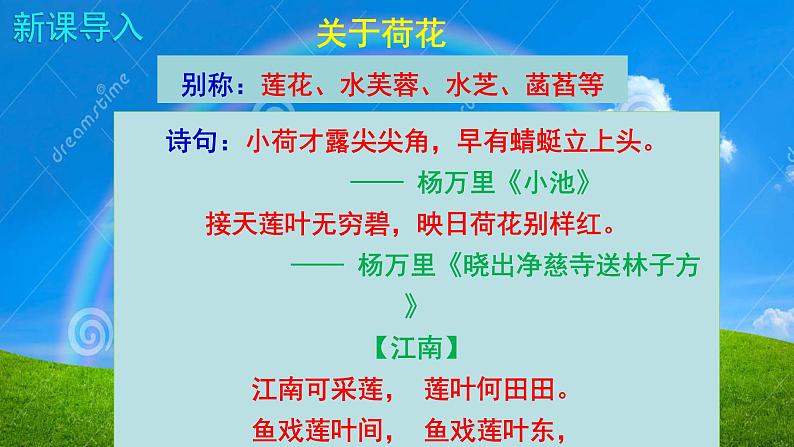 人教部编版七年级语文上册课件第7课 《散文诗二首——荷叶母亲》精品实用课件02
