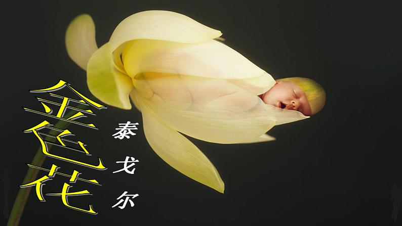 人教部编版七年级语文上册课件第7课 《散文诗二首》精品实用课件03