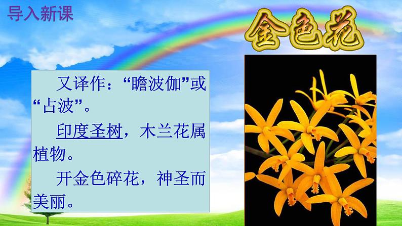 人教部编版七年级语文上册课件第7课 《散文诗二首——金色花》精品实用课件04