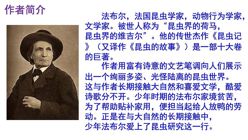 人教部编版八年级语文上册第21课《蝉》精品实用课件04