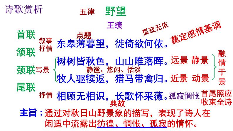 人教部编版八年级语文上册第13课《野望》《黄鹤楼》《使至塞上》《渡荆门送别》《钱塘湖春行》精品实用课件07