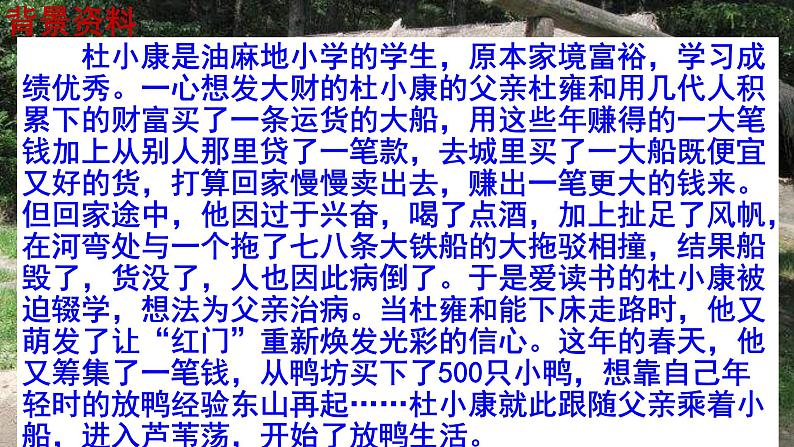 人教部编版九年级语文上册第17课《孤独之旅》精品实用课件06