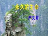 人教部编版八年级语文上册第16课《散文两篇》精品实用课件