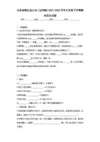 山东省烟台龙口市（五四制）2021-2022学年七年级下学期期末语文试题(word版含答案)