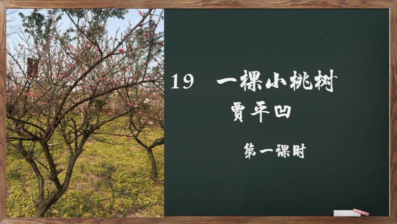 第19课《一棵小桃树》课件  2021—2022学年部编版语文七年级下册01