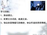 第11课《记承天寺夜游》课件  2022-2023学年部编版语文八年级上册