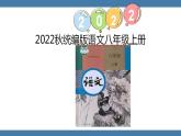 第8课《列夫·托尔斯泰》课件  2022-2023学年部编版语文八年级上册