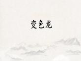 第6课《变色龙》课件  2021-2022学年部编版语文九年级下册