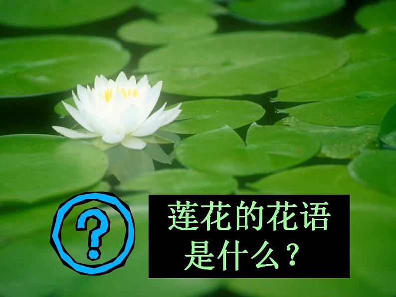 第17课《爱莲说》课件（共28页）2021-2022学年部编版语文七年级下册02
