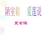 第17课《短文两篇》复习课课件（共32页）2021-2022学年部编版语文七年级下册