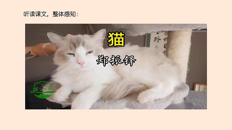 人教版七上语文第16课《猫》PPT+教学设计+情境视频课文朗诵05