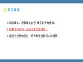 第11课《短文二篇》课件（共44张PPT） 2022—2023学年部编版语文八年级上册